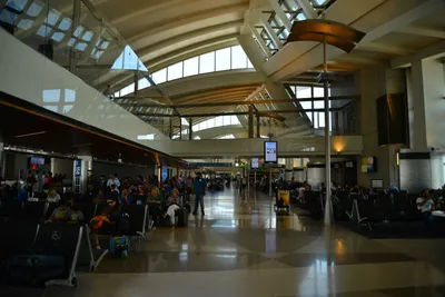 DSC_4069 (Large).JPG